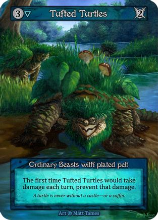 Image of Tufted Turtles  - Beta