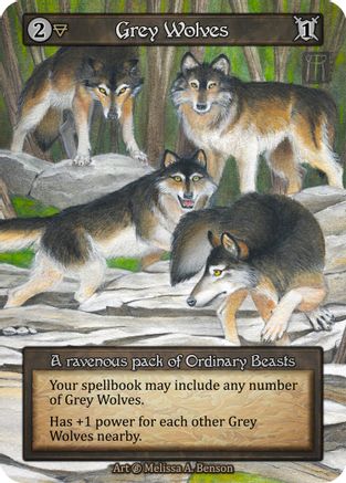 Image of Grey Wolves  - Beta