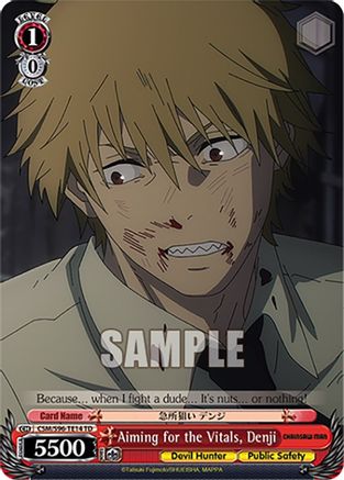 Image of Aiming for the Vitals, Denji (CSM/S96-TE14 TD) - Chainsaw Man