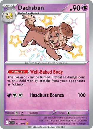 Image of Dachsbun 161/091  - Holofoil SV Paldean Fates - Shiny Rare