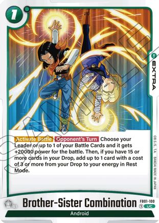 Image of Brother-Sister Combination (FB01-100) - Awakened Pulse