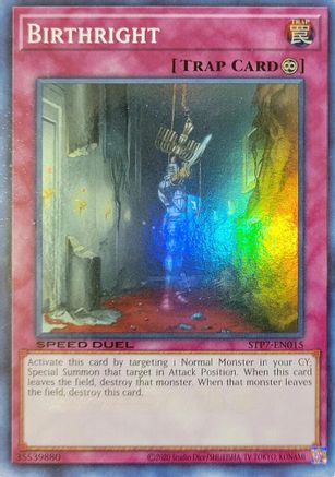 Image of Birthright (STP7-EN015) - Speed Duel: Tournament Pack 7 Unlimited