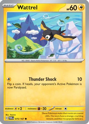 Trove of Collectibles 