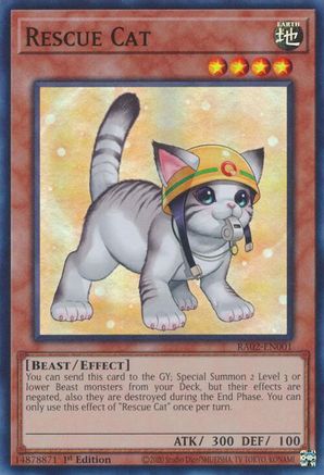 Image of Rescue Cat (Alternate Art) (RA02-EN001) - 25th Anniversary Rarity Collection II 1st Edition