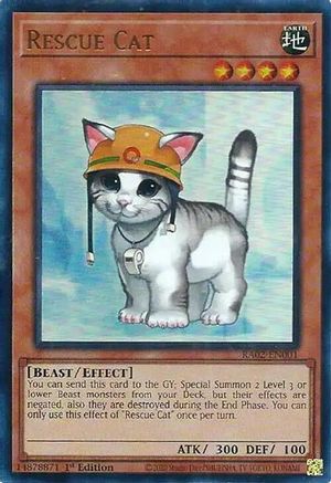 Image of Rescue Cat (UR) (RA02-EN001) - 25th Anniversary Rarity Collection II 1st Edition