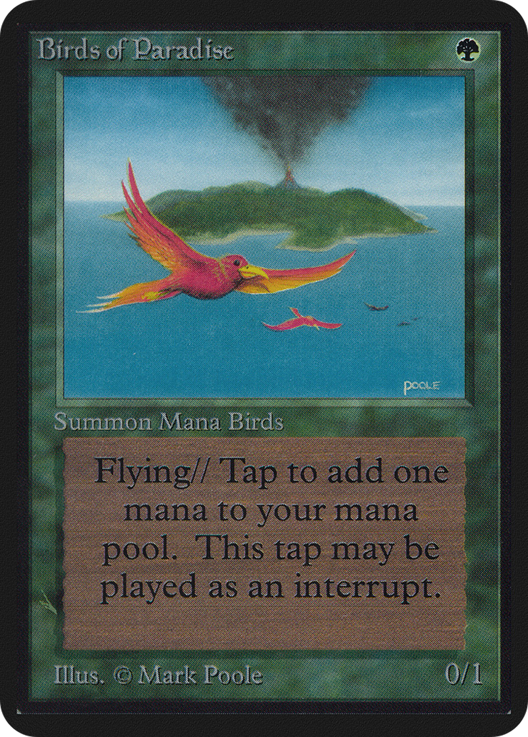 Image of Birds of Paradise (LEA-) - Limited Edition Alpha