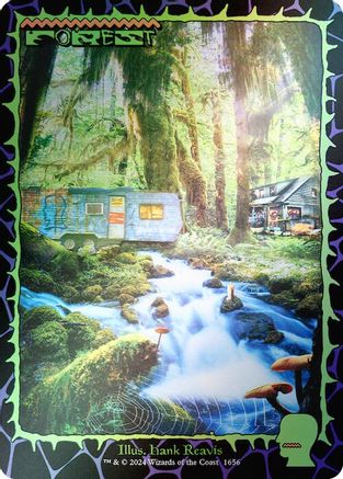 Image of Forest (1656) (Rainbow Foil) (SLD-1656) - Secret Lair Drop Series Foil