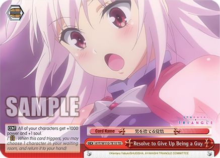 Image of Resolve to Give Up Being a Guy (AYT/W110-TE10 TD) - Ayakashi Triangle