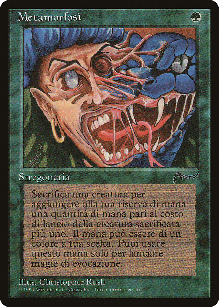 Image of Metamorphosis (Italian) - 