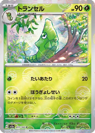 Image of Metapod (Poke Ball Pattern) (011/165) - SV2a Pokemon Card 151 Holofoil