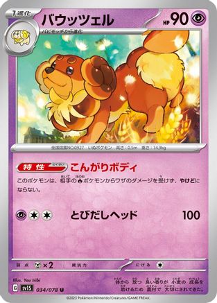 Image of Dachsbun (034/078) - SV1S Scarlet ex