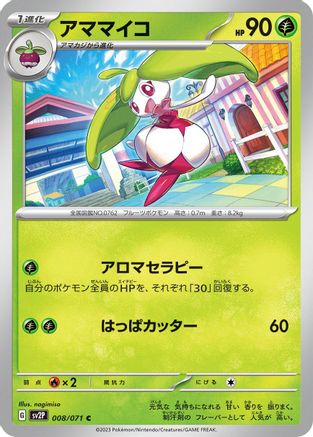 Image of Steenee (008/071) - SV2P Snow Hazard