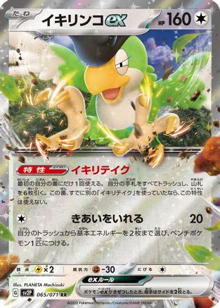 Image of Squawkabilly ex - 065/071 (065/071) - SV2P Snow Hazard Holofoil