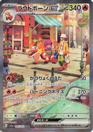 Trove of Collectibles 