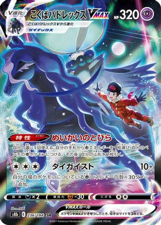 Image of Shadow Rider Calyrex VMAX - 236/184 (236/184) - S8b VMAX Climax Holofoil
