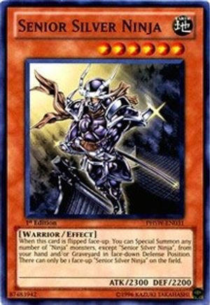 Image of Senior Silver Ninja (PHSW-EN031) - Photon Shockwave Unlimited