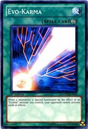 Image of Evo-Karma (PHSW-EN053) - Photon Shockwave Unlimited