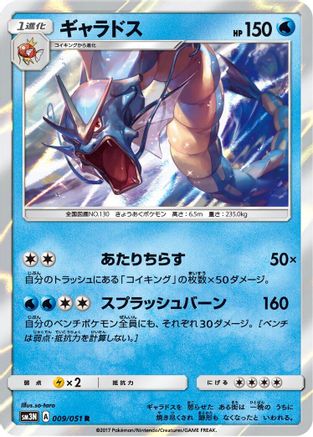 Image of Gyarados (009/051) - SM3N Darkness that Consumes Light Holofoil