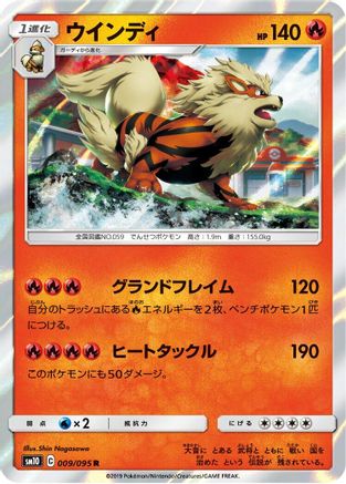 Image of Arcanine (009/095) - SM10 Double Blaze Holofoil