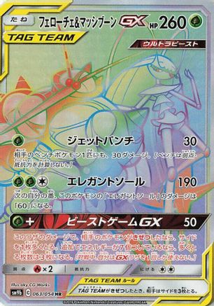 Image of Pheromosa & Buzzwole GX - 063/054 (063/054) - SM9b Full Metal Wall Holofoil