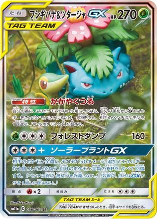 Image of Venusaur & Snivy GX - 066/064 (066/064) - SM11a Remix Bout Holofoil
