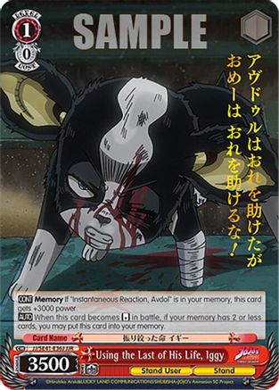 Image of Using the Last of His Life, Iggy (JJR) (JJ/SE41-E36J JJR) - JoJo's Bizarre Adventure: Stardust Crusaders Premium Booster
