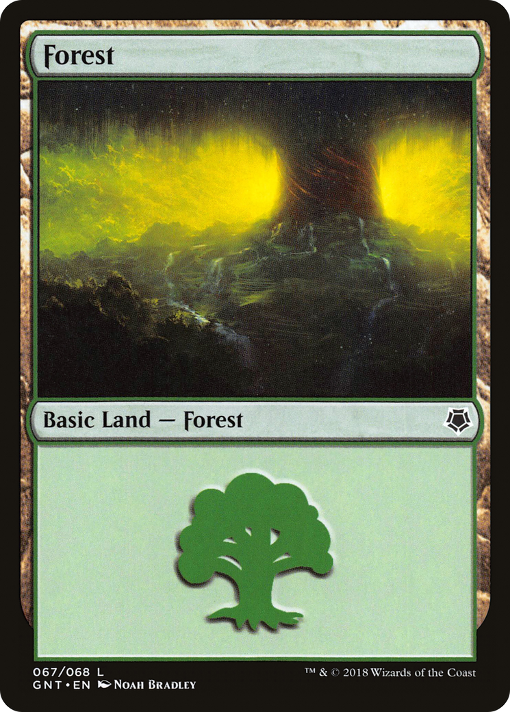 Image of Forest (67) (GNT-067) - Game Night