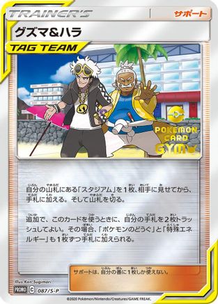Image of Guzma & Hala - 087/S-P (087/S-P) - SP Sword  Shield Promos Holofoil