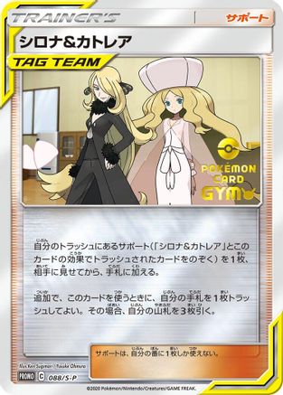 Image of Cynthia & Caitlin - 088/S-P (088/S-P) - SP Sword  Shield Promos Holofoil