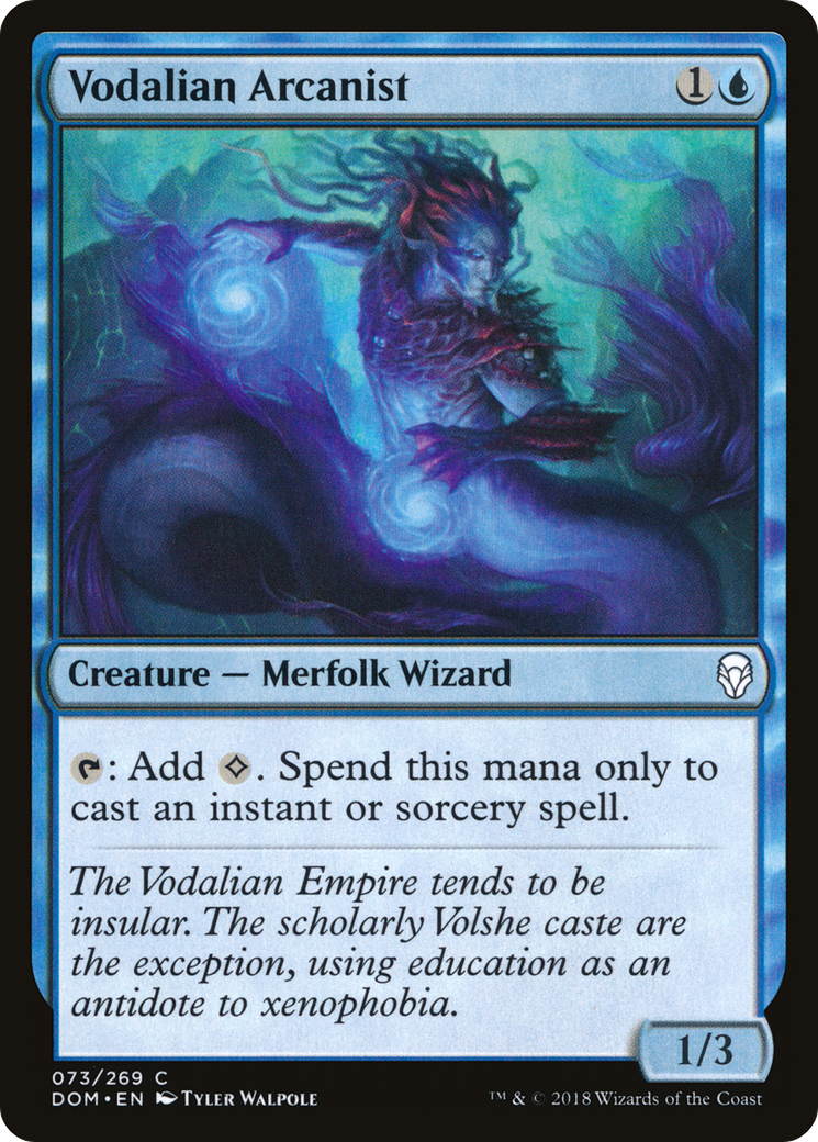 Image of Vodalian Arcanist (DOM-073) - Dominaria Foil