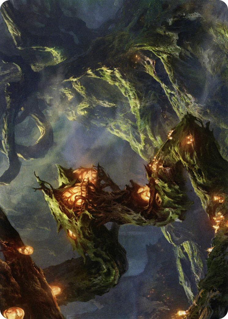 Image of Forest // Forest (ASTX-050) - Strixhaven Art Series (Borderless) Foil