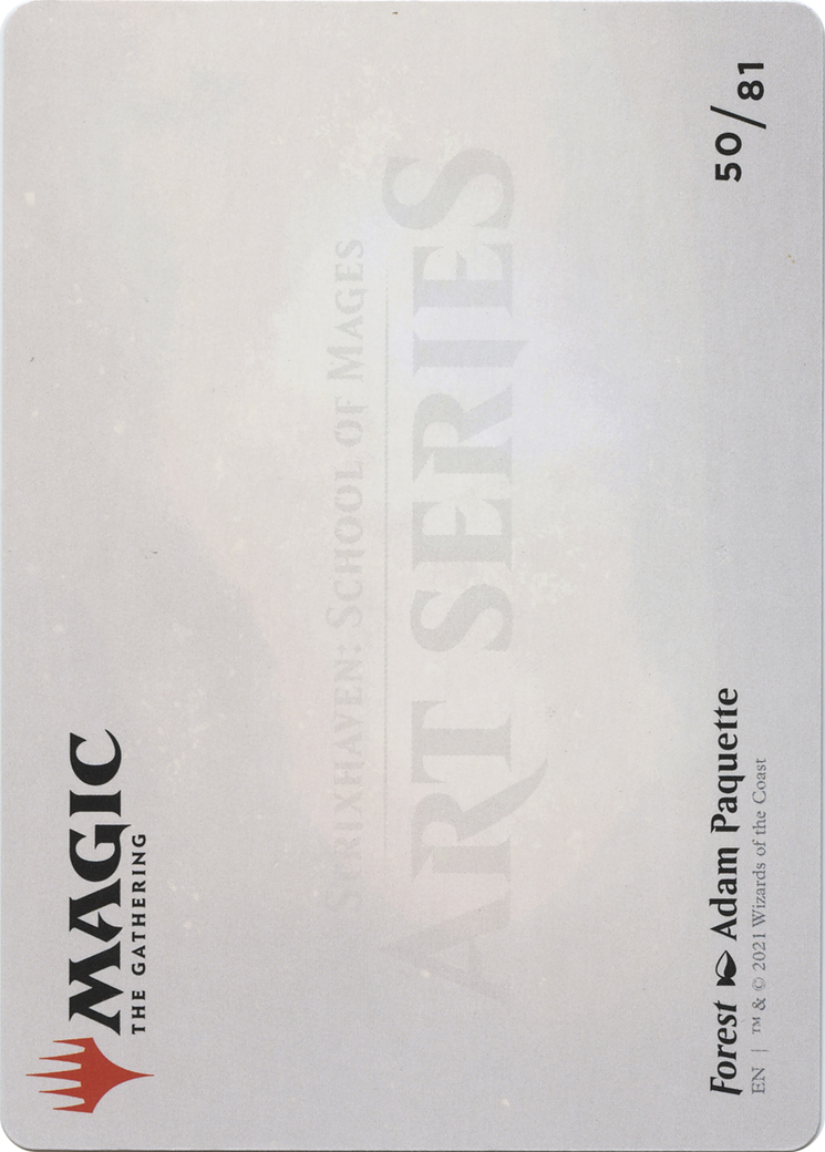 Image of Forest // Forest (ASTX-050) - Strixhaven Art Series (Borderless) Foil