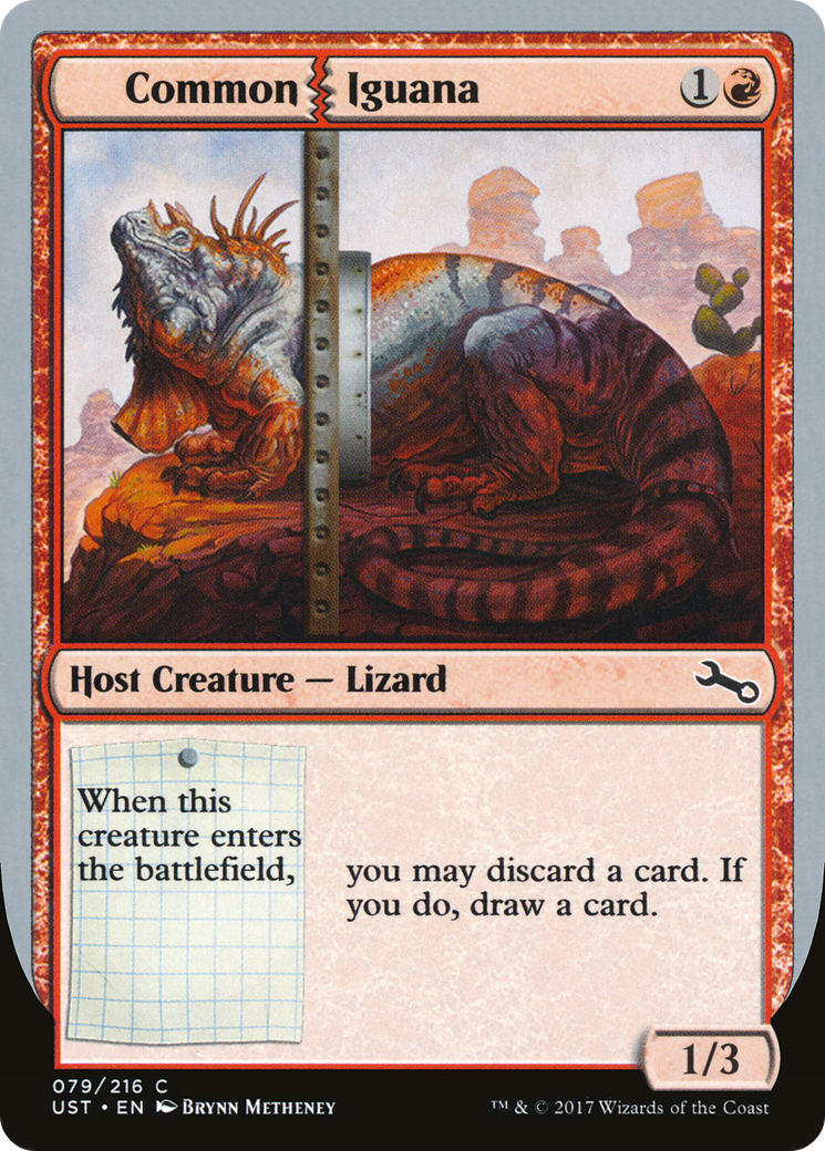 Image of Common Iguana (UST-079) - Unstable