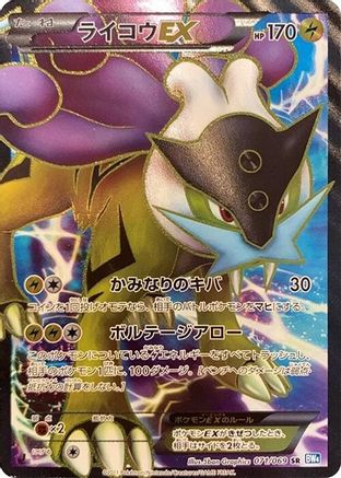 Image of Raikou EX - 071/069 (071/069) - BW4 Dark Rush 1st Edition Holofoil