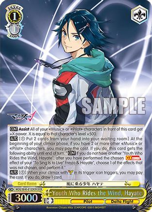 Image of Youth Who Rides the Wind, Hayate (DCR) (MDE/SE45E12DCR DCR) - MACROSS Delta Premium Booster