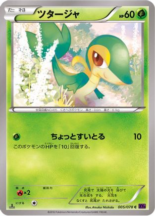 Image of Snivy (005/078) - XY10 Awakening Psychic King Unlimited