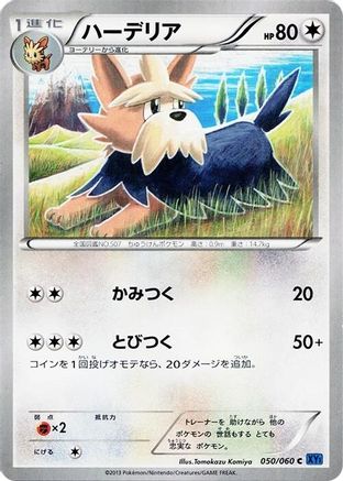Image of Herdier (050/060) - XYBx Collection X Unlimited