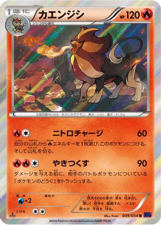 Image of Pyroar (009/054) - XY11Bb FeverBurst Fighter Unlimited Holofoil
