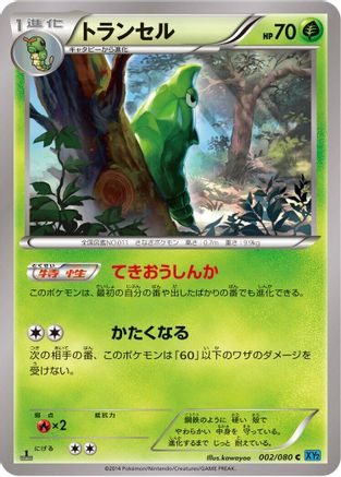 Image of Metapod (002/080) - XY2 Wild Blaze Unlimited