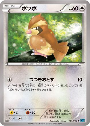 Image of Pidgey (061/080) - XY2 Wild Blaze 1st Edition