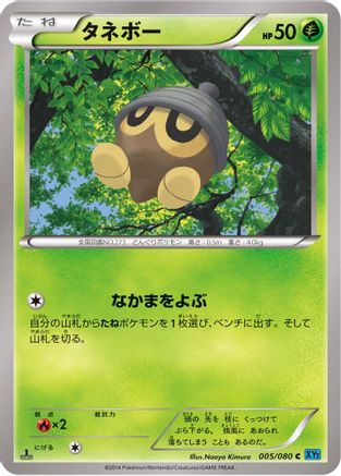Image of Seedot (005/080) - XY2 Wild Blaze Unlimited