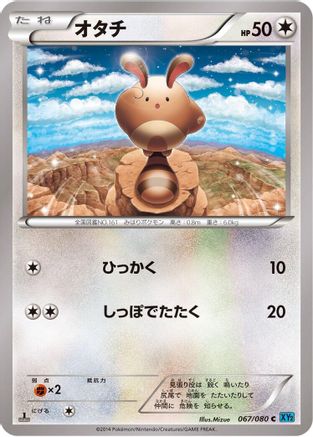 Image of Sentret (067/080) - XY2 Wild Blaze Unlimited