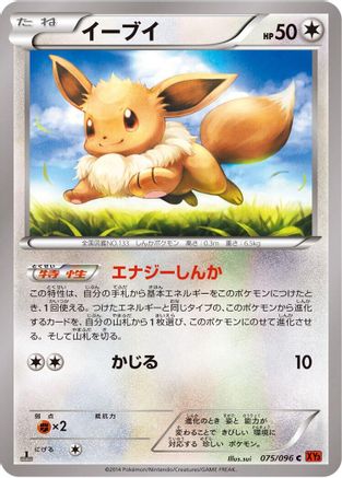 Image of Eevee (075/096) - XY3 Rising Fist Unlimited