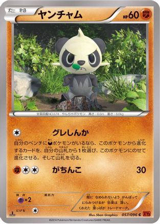 Image of Pancham (057/096) - XY3 Rising Fist Unlimited