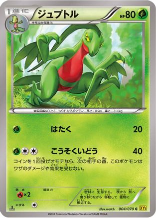 Image of Grovyle (004/070) - XY5Bg Gaia Volcano Unlimited
