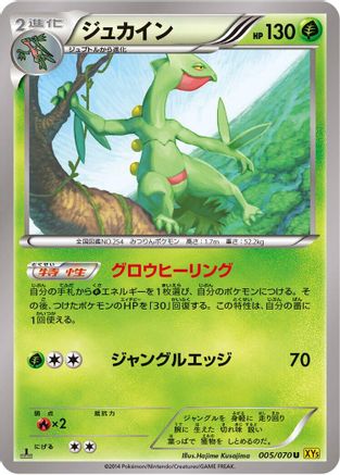 Image of Sceptile - 005/070 (005/070) - XY5Bg Gaia Volcano Unlimited