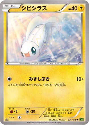 Image of Tynamo (036/070) - XY5Bt Tidal Storm Unlimited
