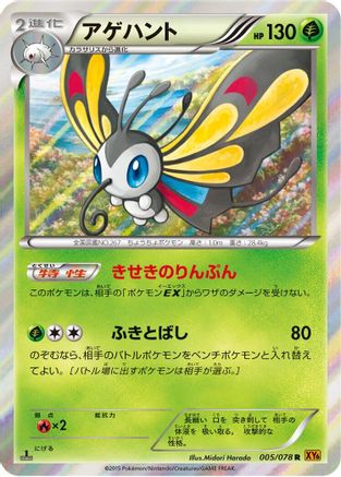 Image of Beautifly (005/078) - XY6 Emerald Break 1st Edition Holofoil