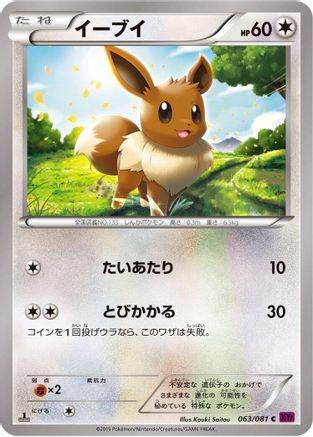 Image of Eevee (063/081) - XY7 Bandit Ring 1st Edition