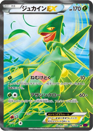 Image of Sceptile EX - 082/081 (082/081) - XY7 Bandit Ring Unlimited Holofoil